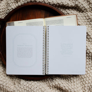 In Christ Alone: A Bible Study on the Book of Romans