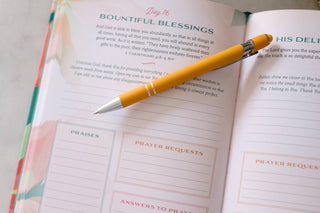 A Year of God's Goodness: A Prayer & Praise Tracker for Women