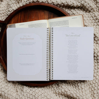 In Christ Alone: A Bible Study on the Book of Romans