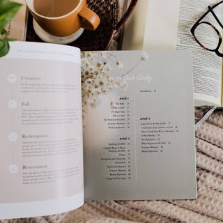 Faith Foundations A Bible Study on the Basics of Christianity
