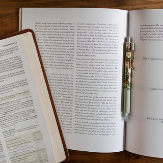 Stand Firm- Armor of God Bible Study