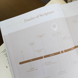 Delight Psalms 1-30 Bible Study