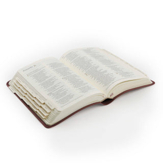 Hosanna Revival Bible Tabs: Black Foiling