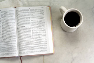 Light for Life NASB Study Bible- Blush Bouquet