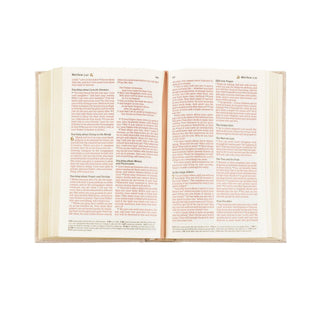 NLT Compact Bible: Casablanca Theme