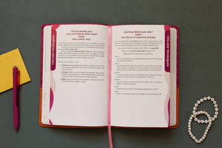 Girls Know Your Bible NLV BIble for Kids