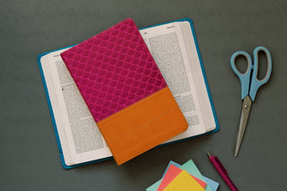Girls Know Your Bible NLV BIble for Kids