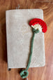 Red and Yellow Poppy