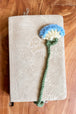 Baby Blue and Yellow Poppy