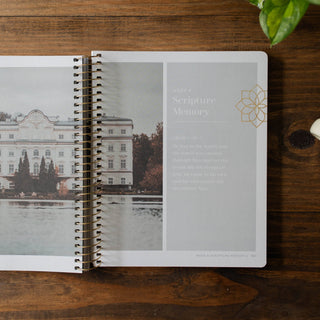 Come and See Spiral Bound Bible Study