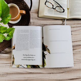 Faith Foundations A Bible Study on the Basics of Christianity