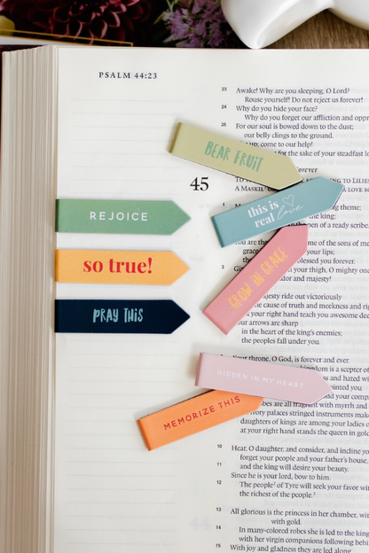 Bear Fruit Mini Bookmark Set