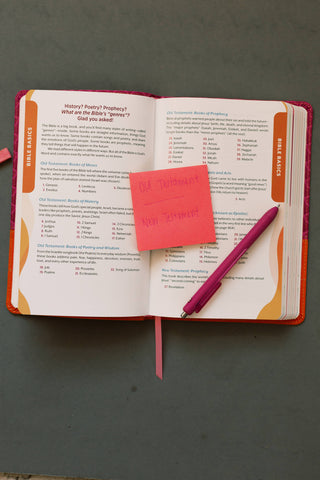 Girls Know Your Bible NLV BIble for Kids