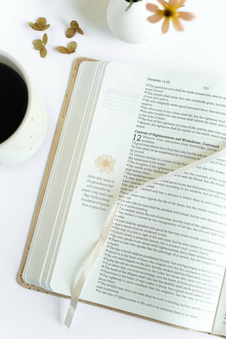 Polka Dot Mustard Seed Faith SKJV Devotional Bible