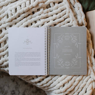 Jesus is Better: Living for the One Who is Worthy | A Bible Study on the Book of Hebrews