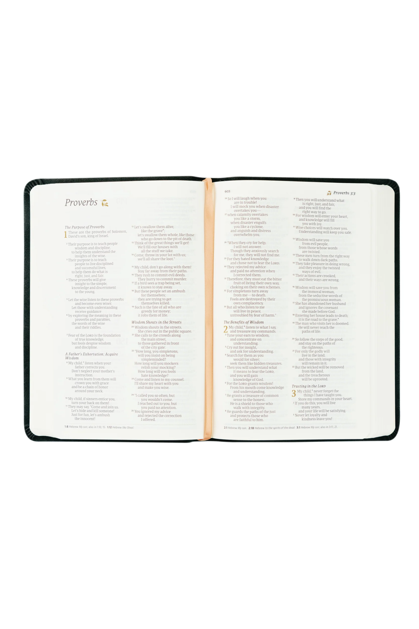 NLT Compact Bible: Jerusalem Theme