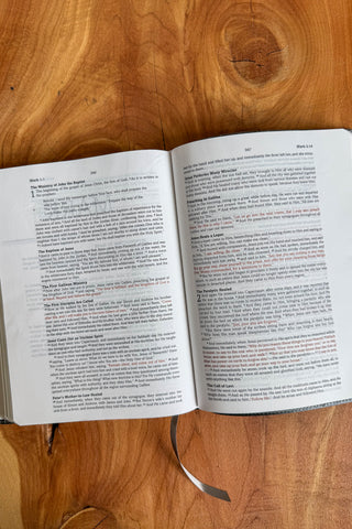 Gray SKJV Bible for Teen Boys