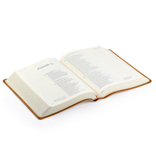 CSB Notetaking Bible: Amelia Theme
