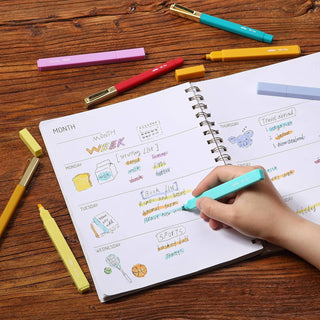 Mr.Pen Aesthetic Bold No Bleed Highlighters and Pens