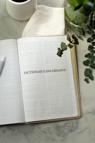 Light for Life NASB Study Bible- Blush Bouquet