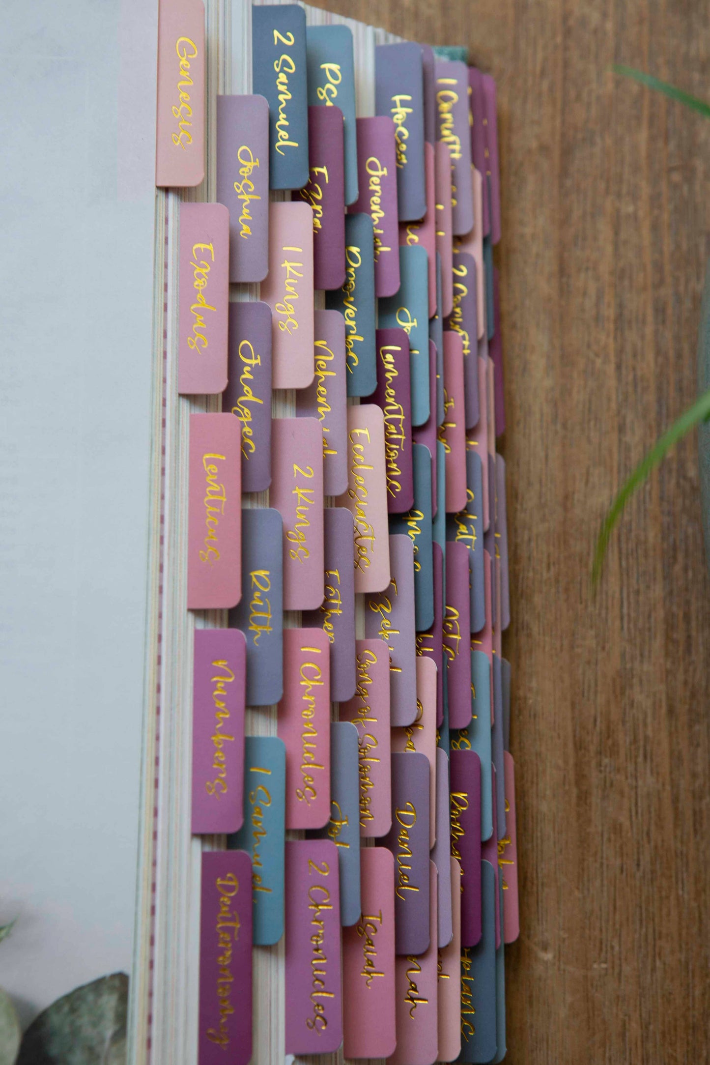 Ombre Bible Tabs