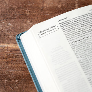 Daily Wisdom for Men SKJV Devotional Bible