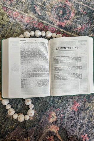 Dark Sage Doves The Hope & Healing Devotional Bible