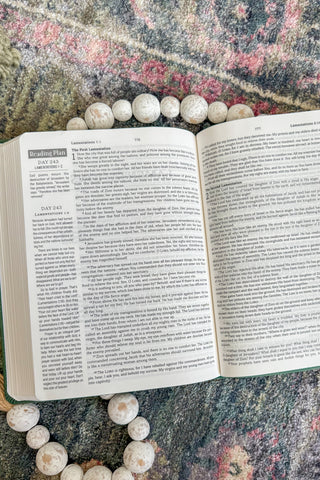 Dark Sage Doves The Hope & Healing Devotional Bible