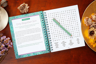 Bible Word Search 100 Meditations on the Names of Jesus Devotional