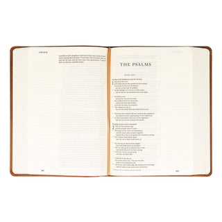 ESV Large Print Journaling Bible : Sierra Theme
