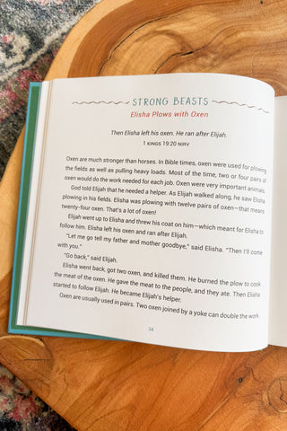 A Year of Bible Animal Stories