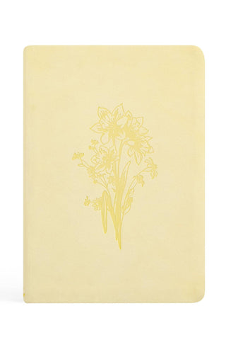 Notebook: Belfast Theme