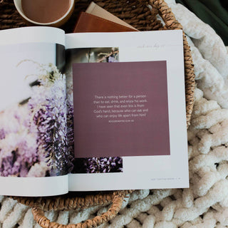 Path to Purpose- A Bible Study on the Book of Ecclesiastes