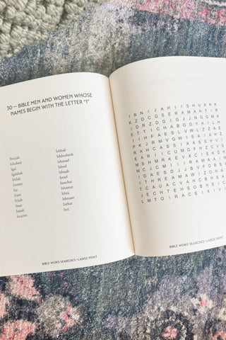 Bible Word Searches Large Print