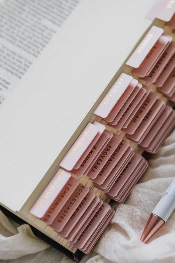 Pink Bible Tabs