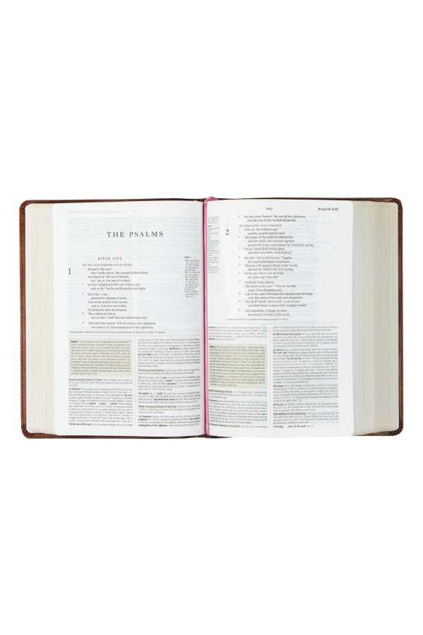 ESV Study Bible: Aurora Theme