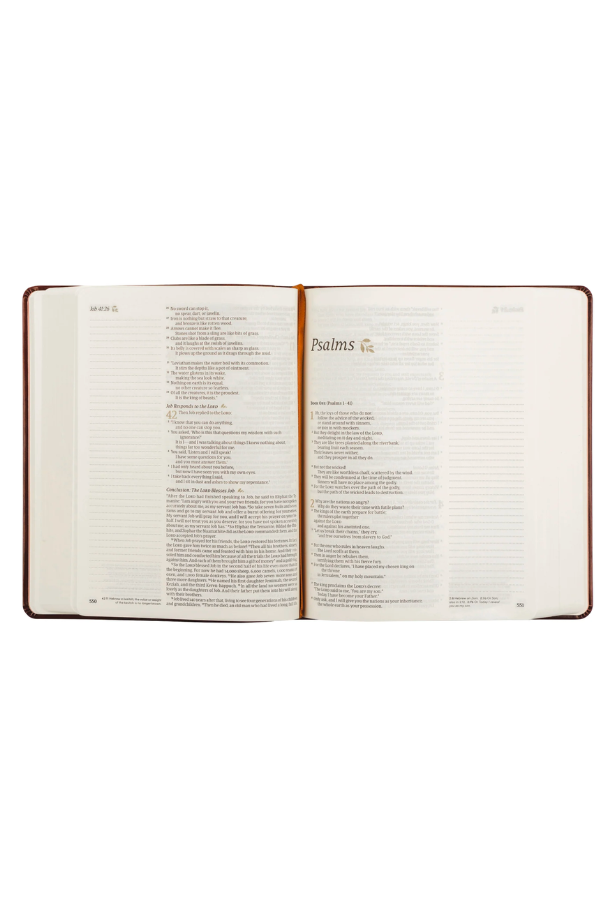 NLT Notetaking Bible: Santa Elena Theme