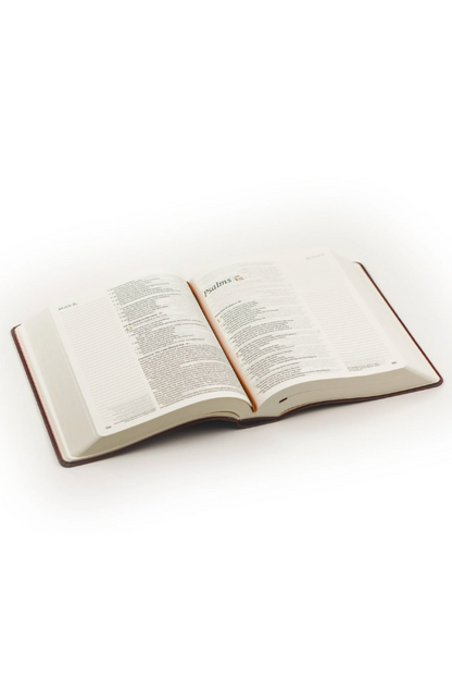 NLT Notetaking Bible: Santa Elena Theme