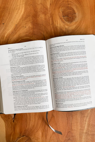 Gray SKJV Bible for Teen Boys