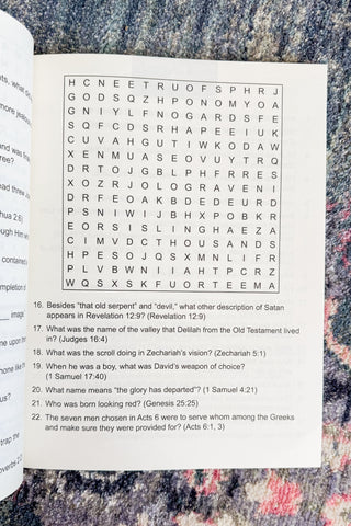 Bible Trivia Word Searches Large Print