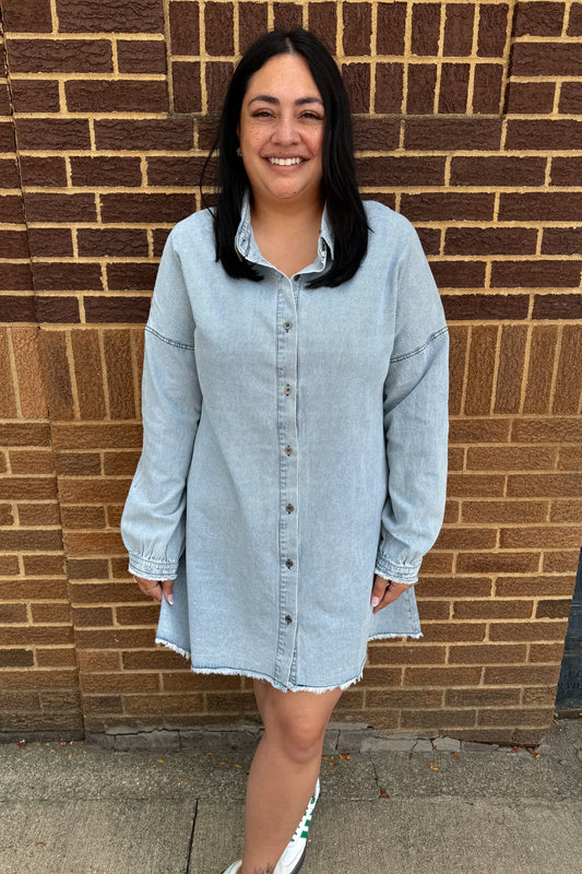 Dana Denim Dress