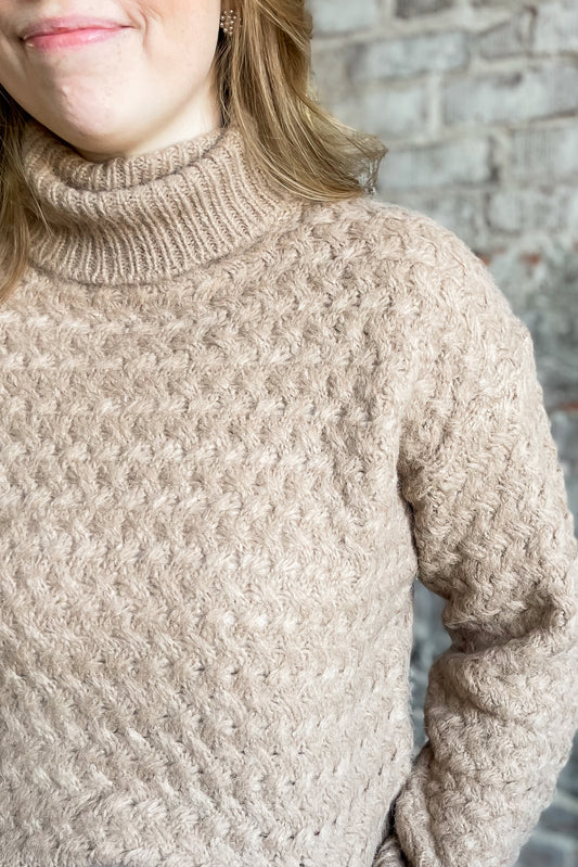 Taupe Textured Turtleneck Sweater