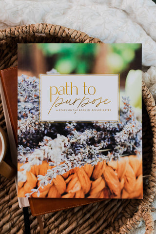 Path to Purpose- A Bible Study on the Book of Ecclesiastes