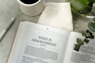Light for Life NASB Study Bible- Blush Bouquet