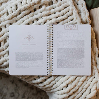 Jesus is Better: Living for the One Who is Worthy | A Bible Study on the Book of Hebrews
