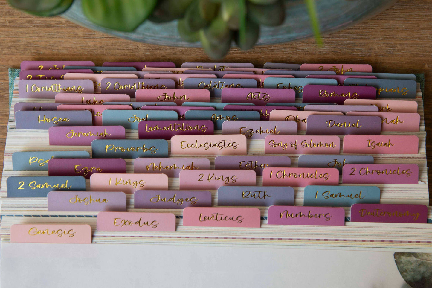 Ombre Bible Tabs