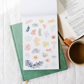 Strong in the Lord Daily Grace Bible Study Stickers
