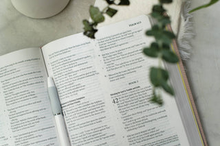 Light for Life NASB Study Bible- Blush Bouquet