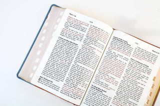 Rust and Stone Cross Barbour SKJV Large Print Bible