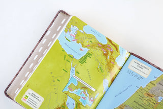 Barbour Simplified KJV Large Print- Plum & Paisley
